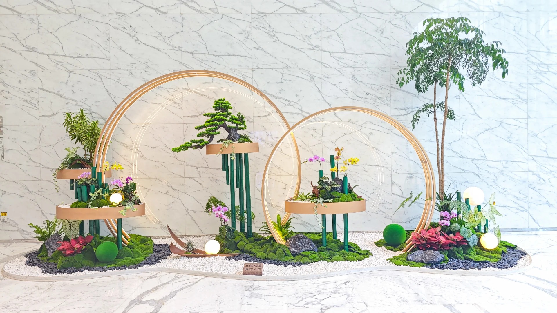 专业花木出租哪家强？宁波鄞州等你来